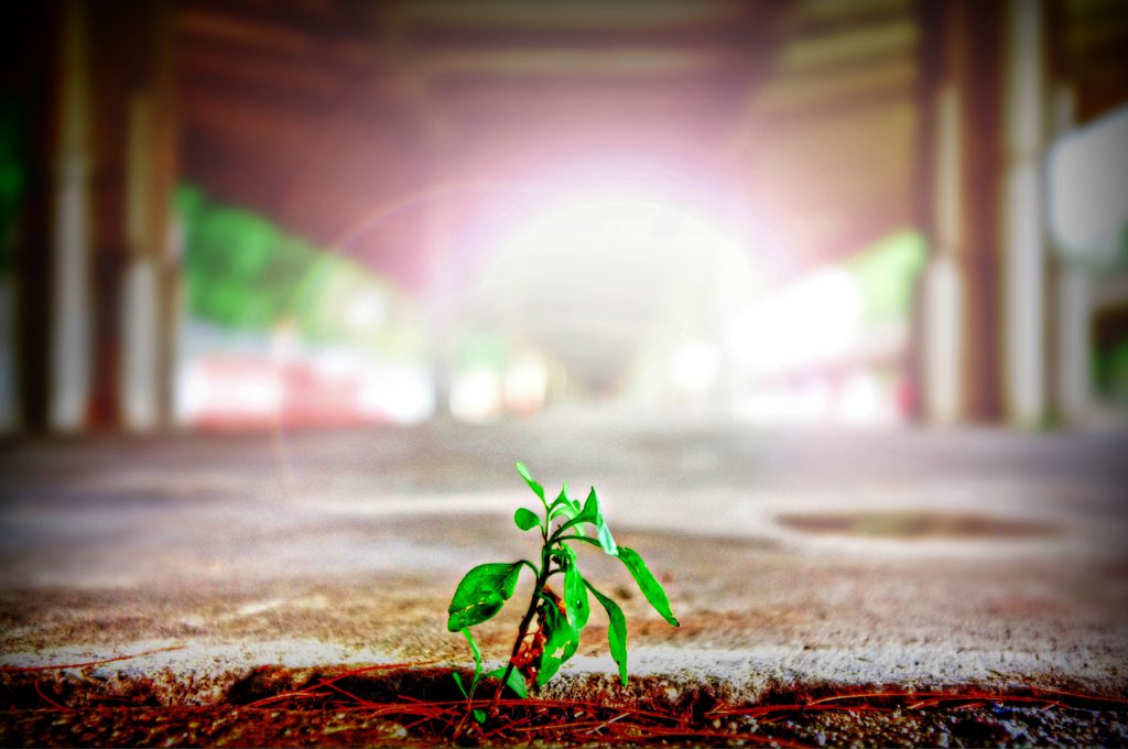 The 4 Origins of Mistakes in Business