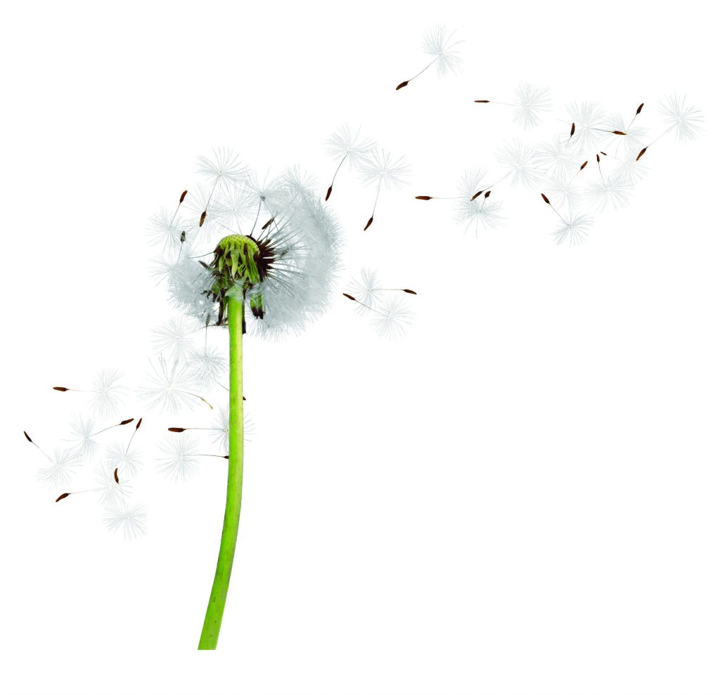 22 Conscious Business Leaders Share Their Reasons for Hope
