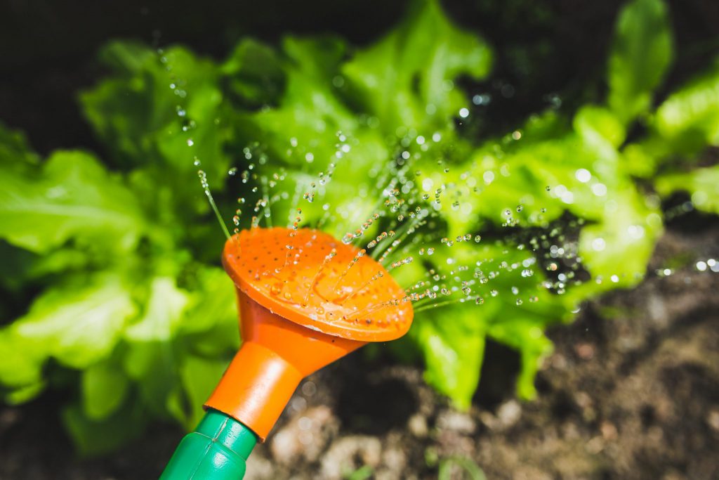 How to Help Your Employees Grow