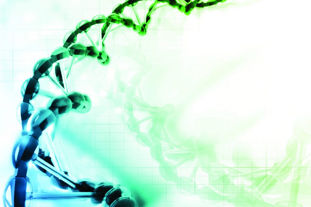 Build Mission and Consciousness Into Your Company’s DNA