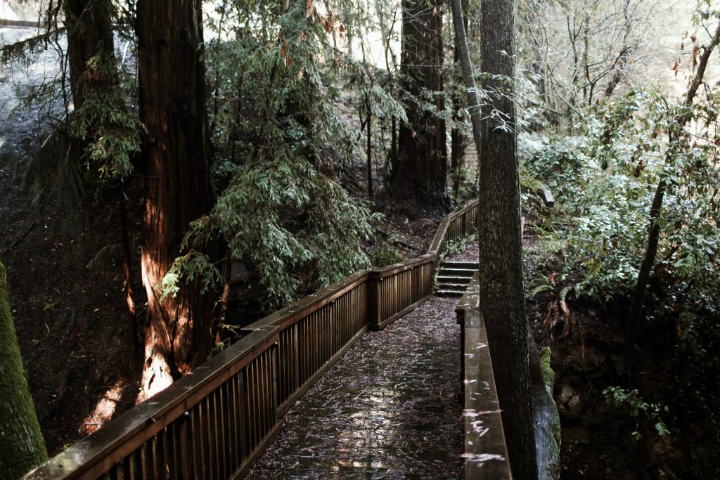 Why 1440 is Magic for Conscious Leaders