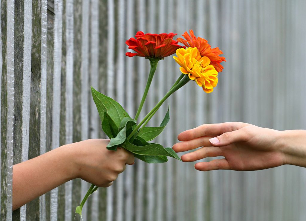 The G Factor: The Power of Gratitude in Management