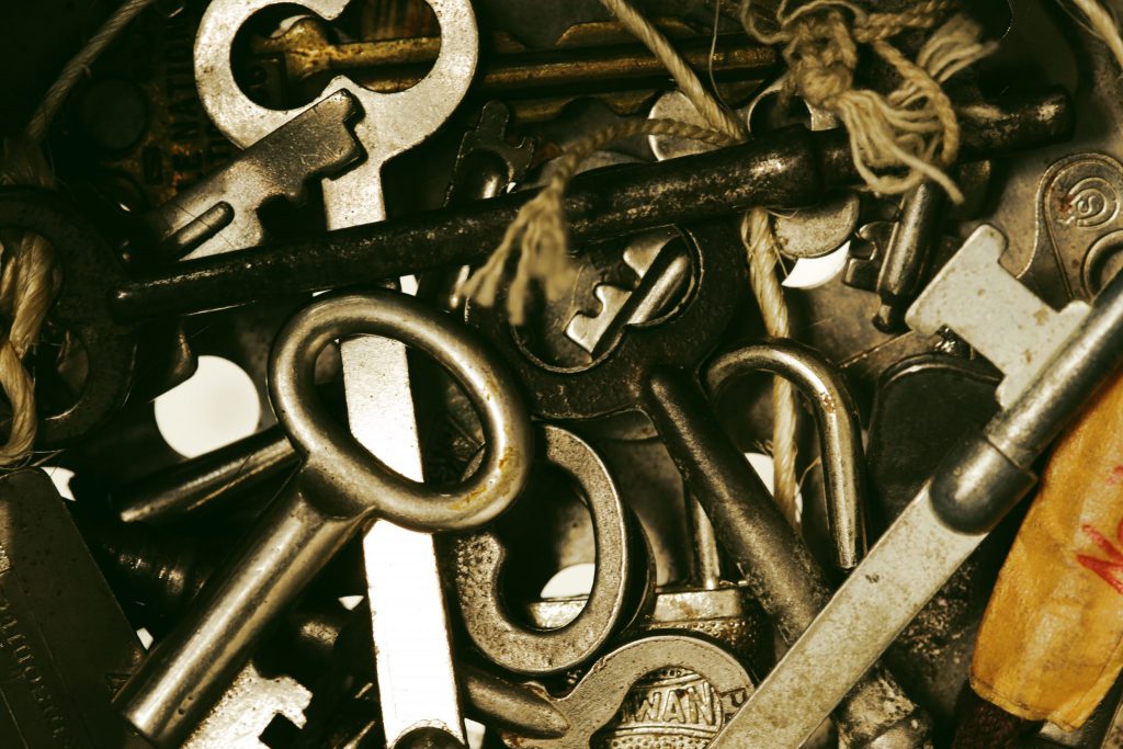 Diana Chapman on How Conscious Leadership Can Unlock a Better Workplace