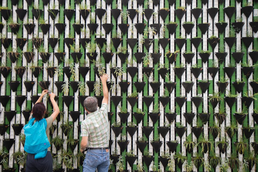 6 Ways Skills-Based Volunteering Is Good For Your Business