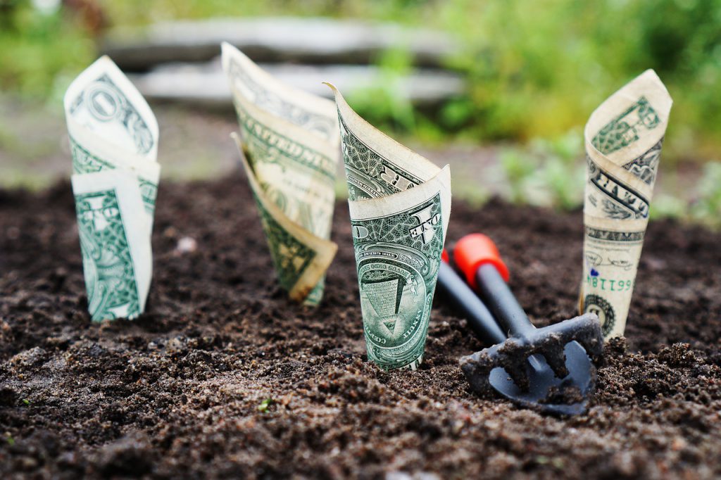 How Social Enterprises Can Attract Growth-Stage Capital
