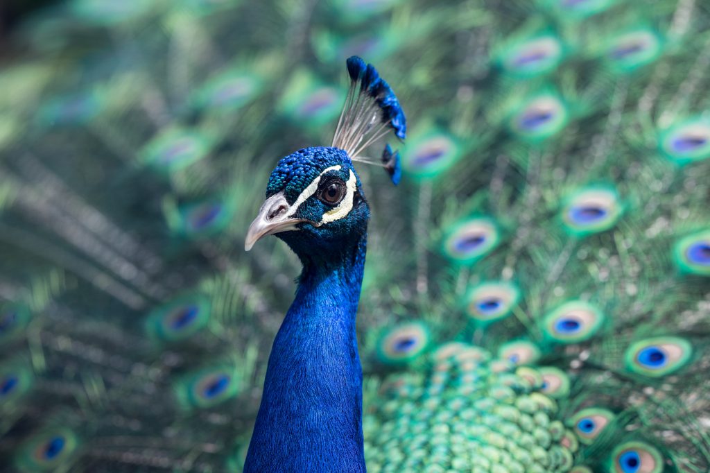4 Employees Making a Difference By Daring to Be Themselves
