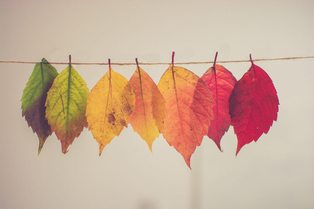 Why Your Brand Must Transform to Stay Relevant—And How To Do It