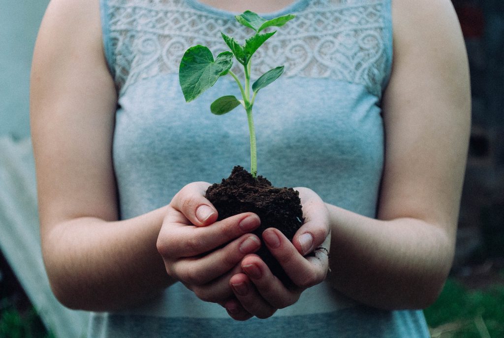 Startup Mentality and Nonprofits: A Match Made in Heaven?