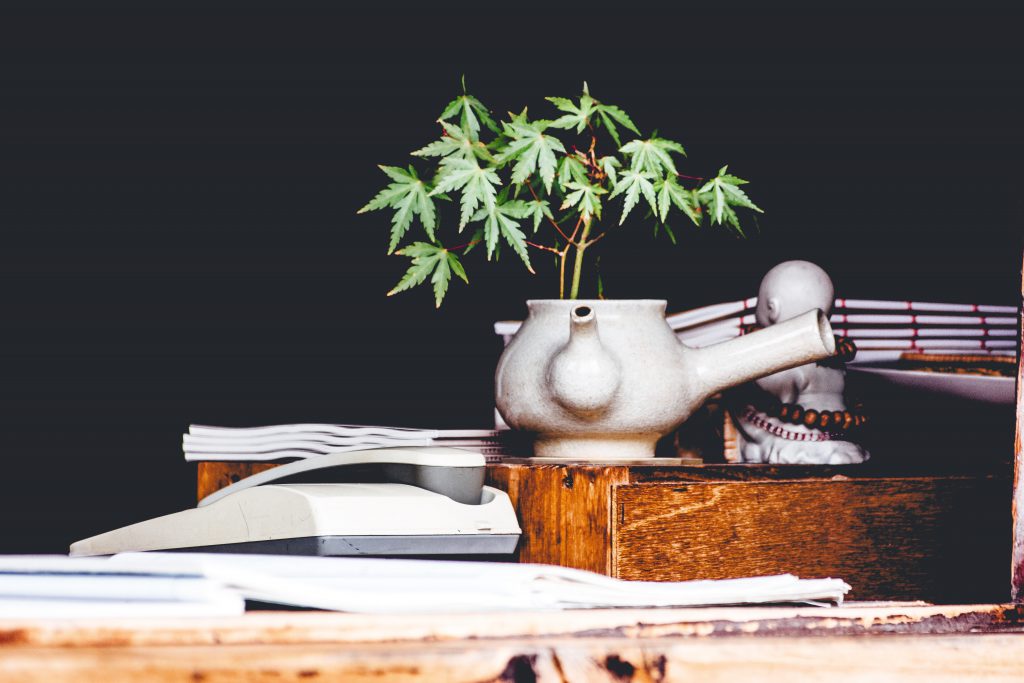 Conscious Cannabis 101