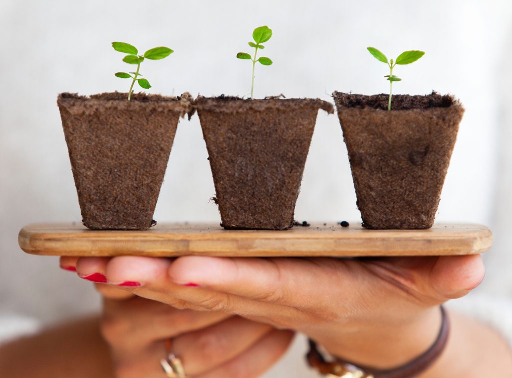 Are You Meeting These 6 Employee Needs?