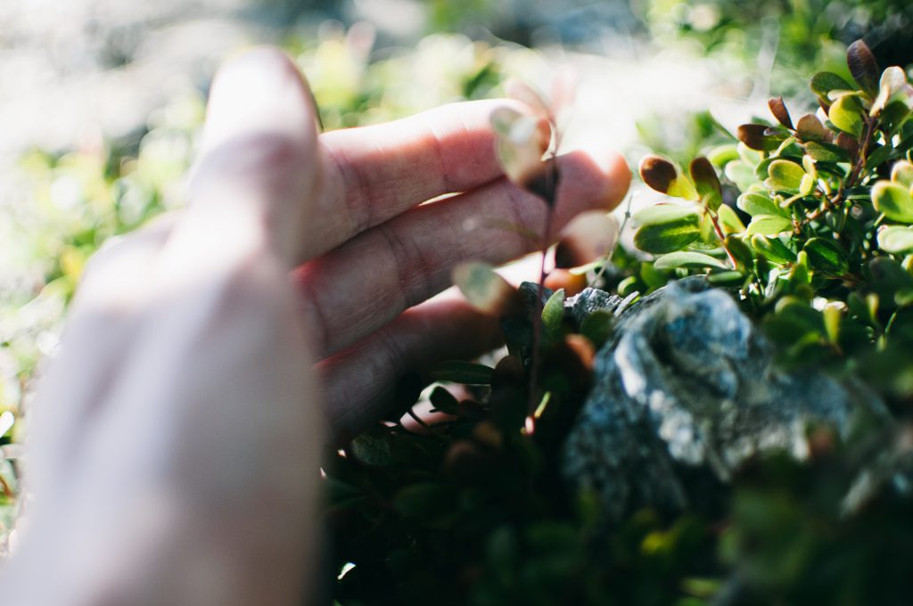 3 Ways For Businesses to Cultivate Empathy and Emotional Intelligence