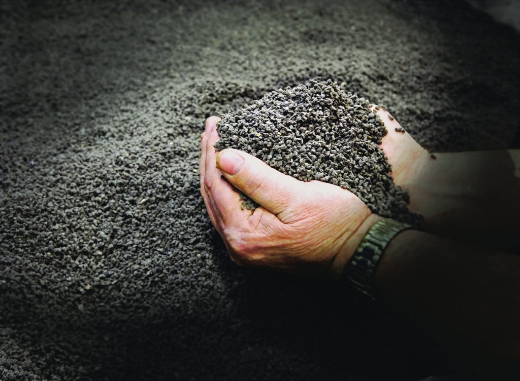 How to Start a Corporate Revolution