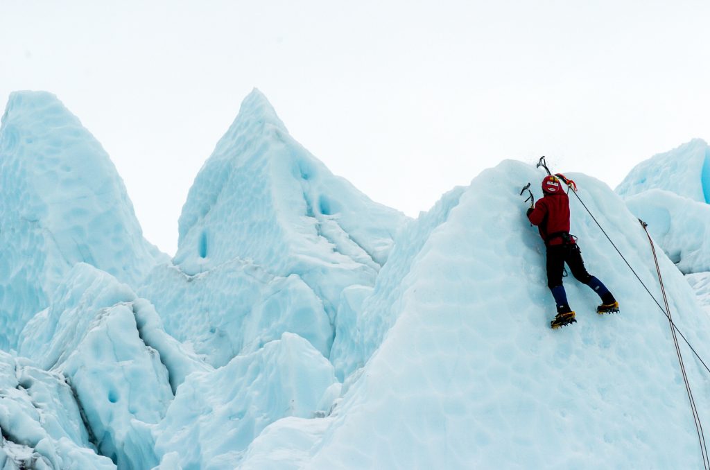 The Purpose of Adversity in Business