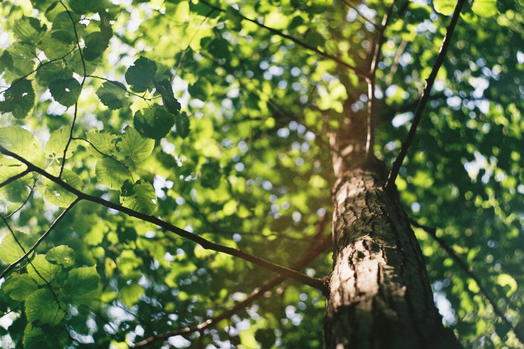 There Aren't Enough Brands Focused on Actual, Sustainable Conservation