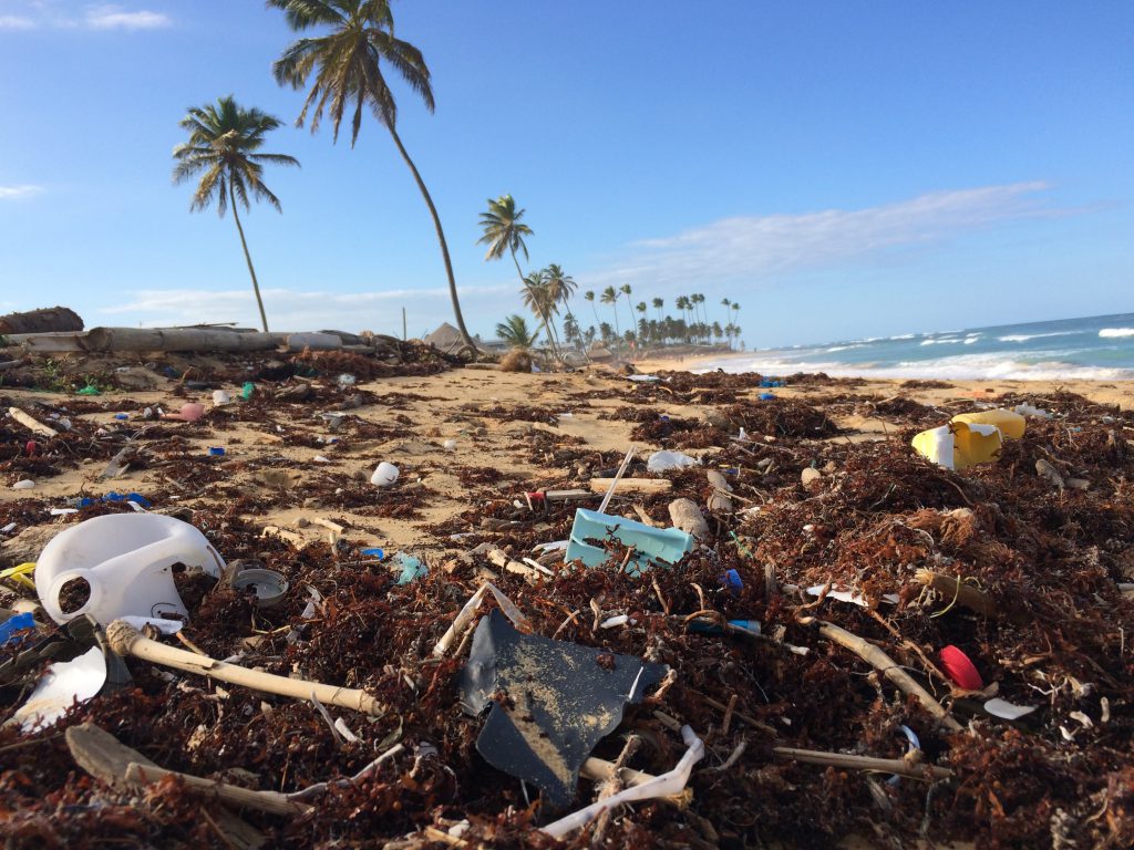 Kim Graham-Nye On How to Stop Plastic Pollution At the Source