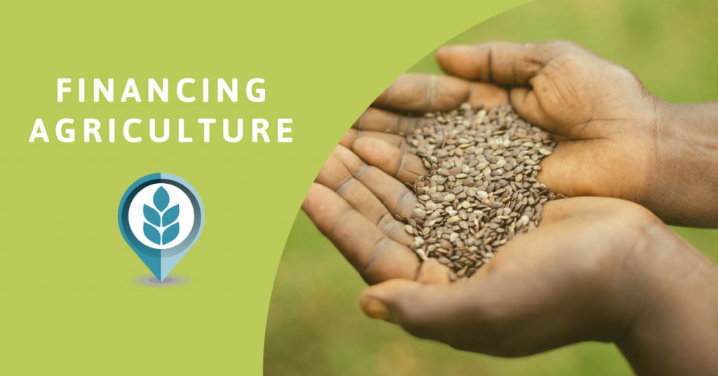 The Entrepreneur Journey: Unlocking investment capital for agribusinesses in emerging markets