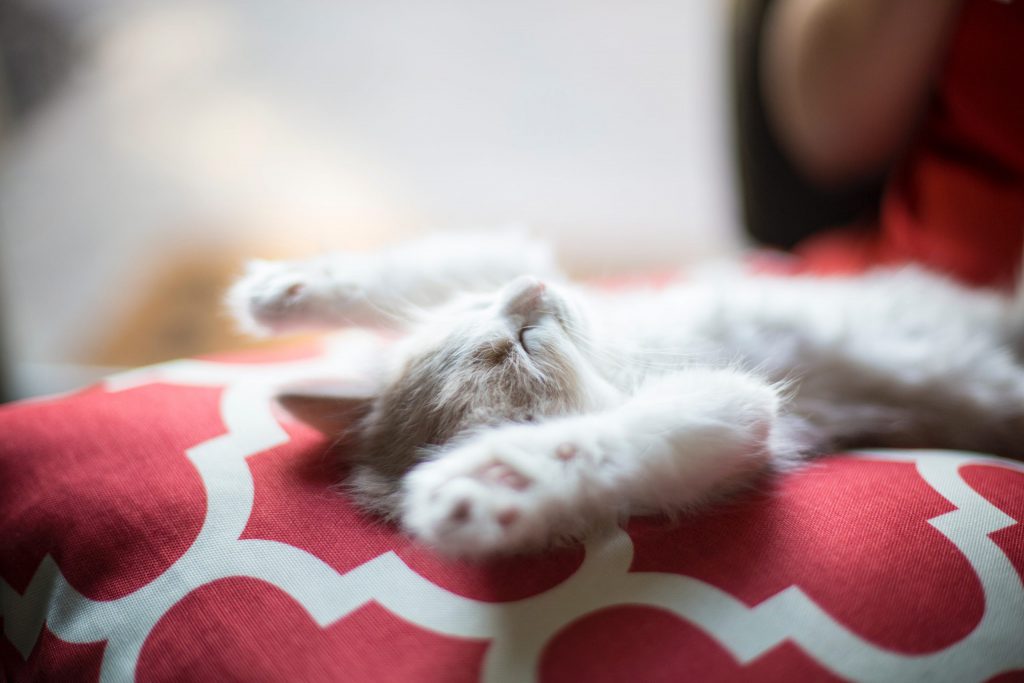 9 Life Hacks to Conquer Year-End Fatigue