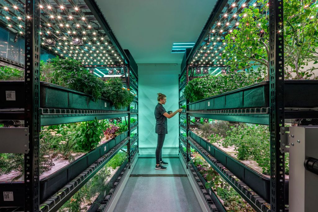 6 Types of Business That Will Create a Positive Global Impact in 2020