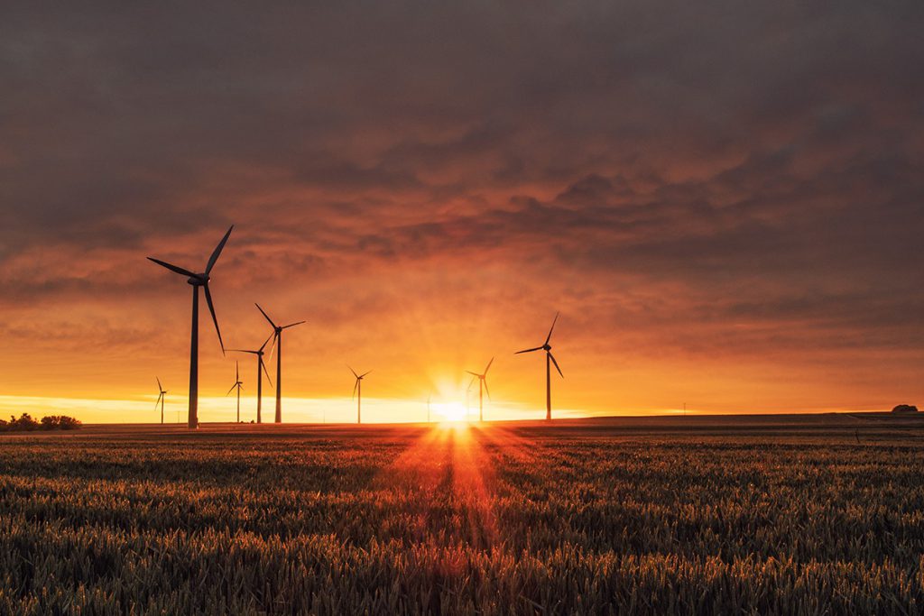 With the Growth of Renewables, Will the Gender Gap in the Energy Industry Shrink?