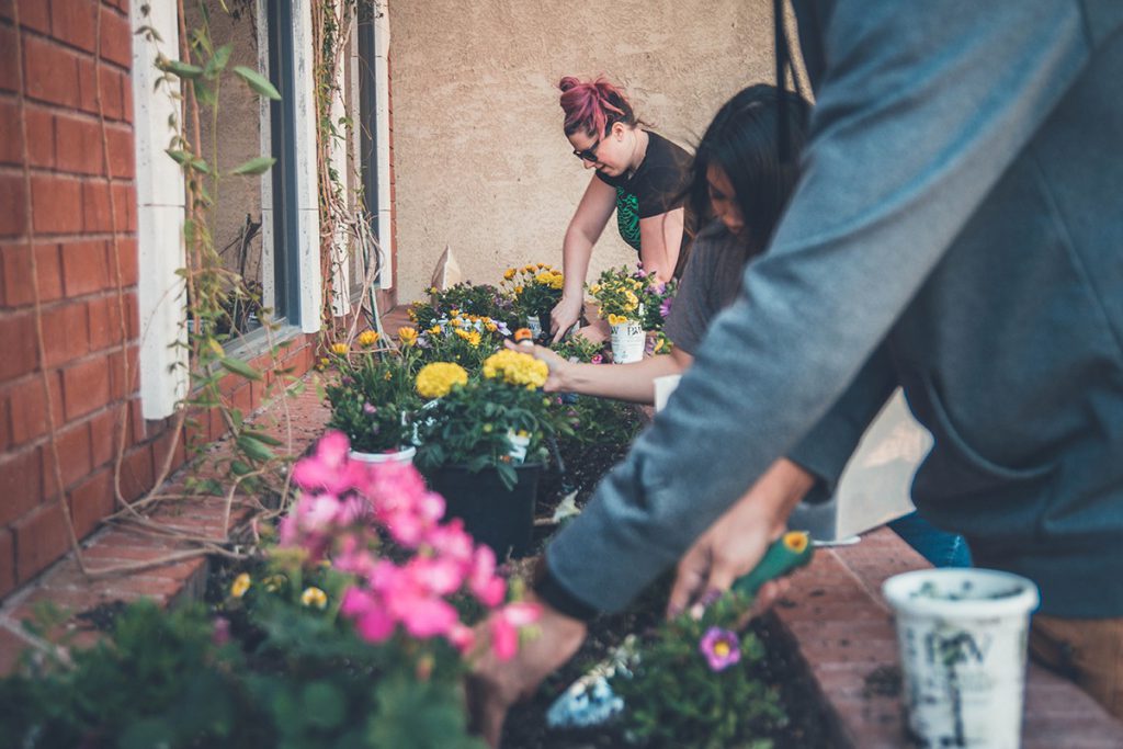 5 Ways to Forge a Charitable Work Culture