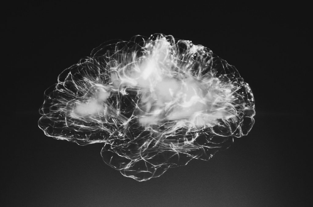A Cognitive Neuroscientist Shares How to Avoid Business Disasters