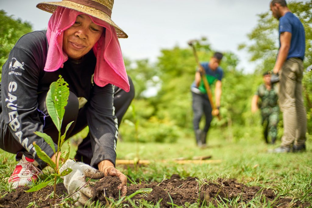United Reforestation: One Necessary Response to COVID-19