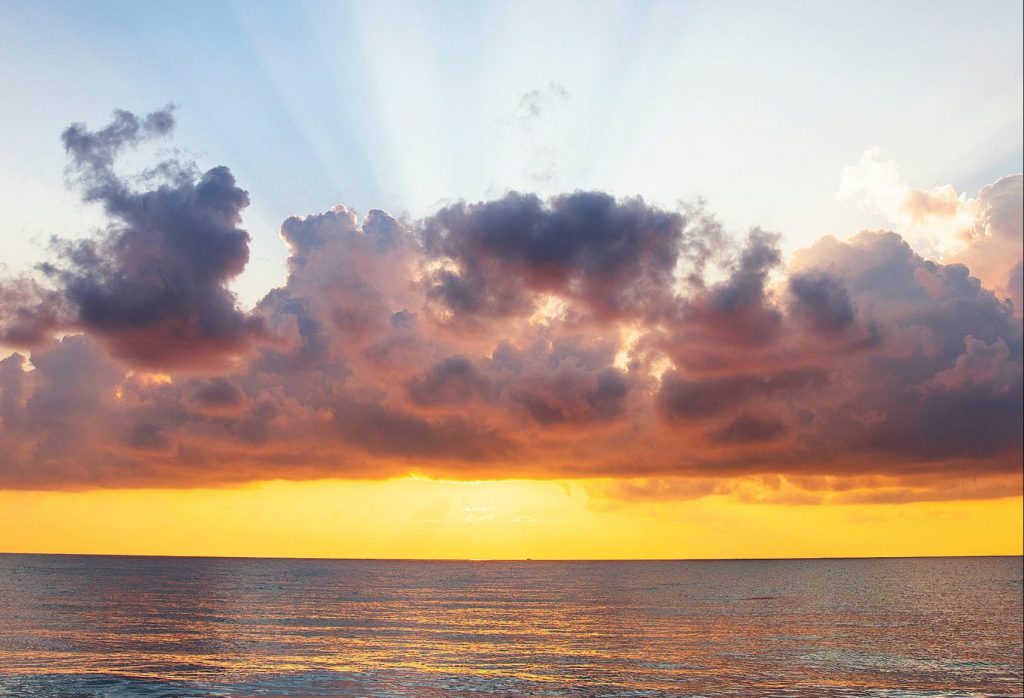 3 Lessons Your Business Can Use to Grow from Disaster