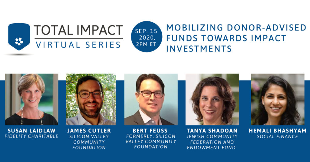 Mobilizing Donor-Advised Funds Towards Impact Investments