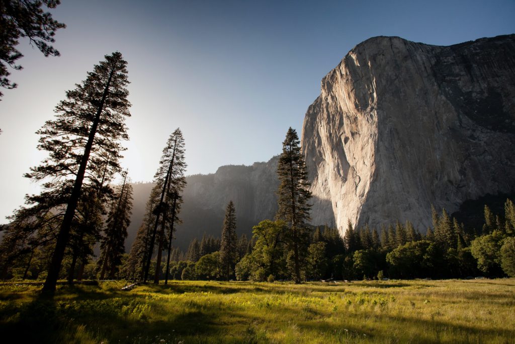 Advancing Climate Action and Justice in Building the Impact Economy