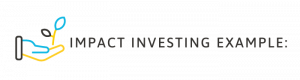 Impact Investing Example
