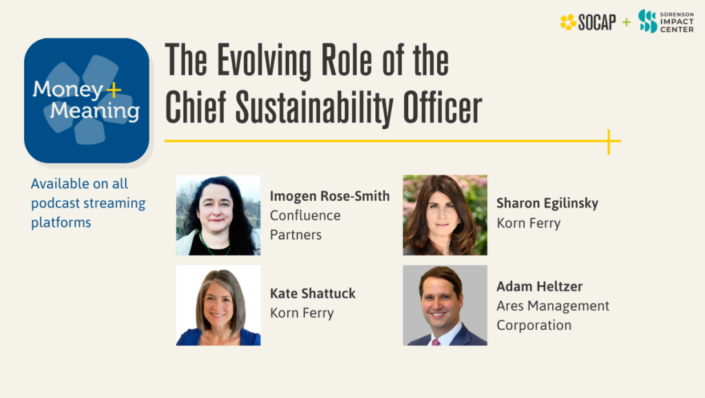 The Evolving Role of the Chief Sustainability Officer