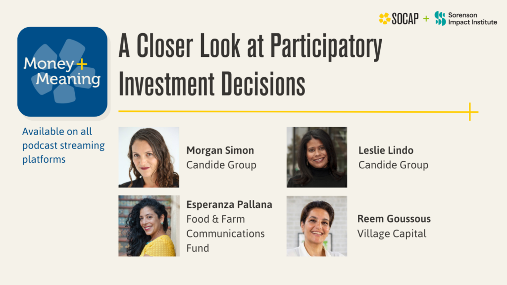 Who Decides Matters: A Closer Look at Participatory Investment Decisions