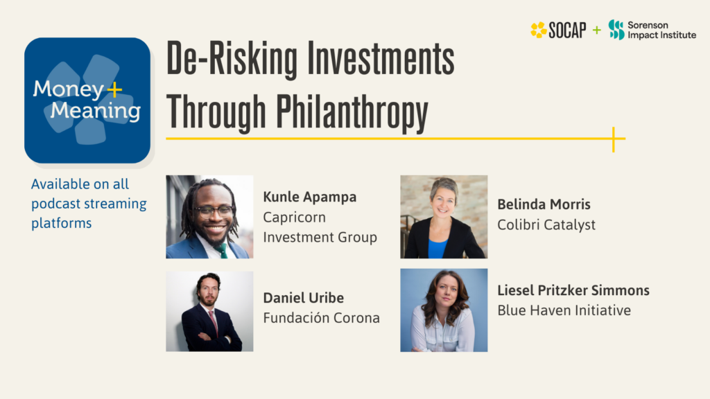 De-Risking Investments Through Philanthropy: A Real-Life Peek Behind the Scenes