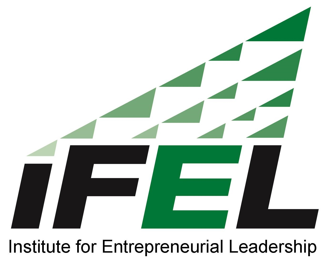 7 - Catalyst - IFEL_Logo for website