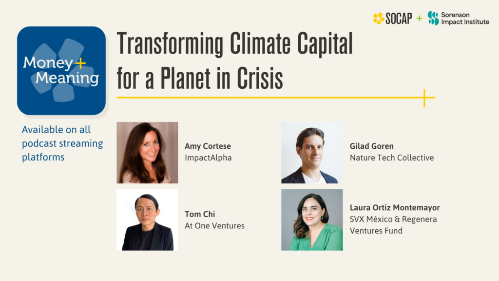 Transforming Climate Capital for a Planet in Crisis