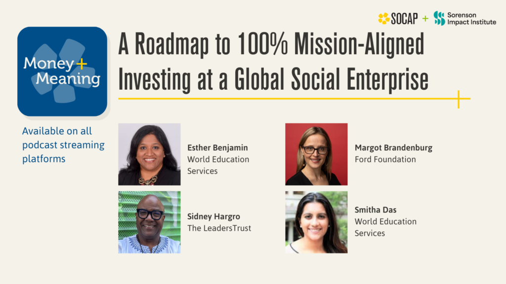 Unlocking Maximum Impact: A Roadmap to 100% Mission-Aligned Investing at a Global Social Enterprise