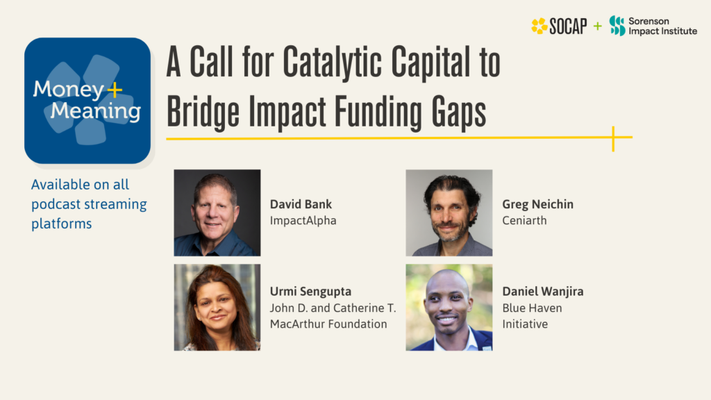 A Call for Catalytic Capital to Bridge Impact Funding Gaps